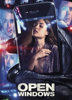 Title: Open Windows (2014)
