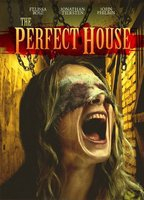 Title: The Perfect House (2012)