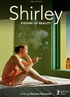 Title: Shirley: Visions of Reality (2013)