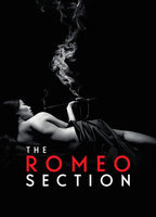Title: The Romeo Section (2015)
