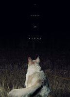 Title: It Comes at Night (2017)