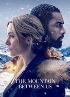 Title: The Mountain Between Us (2017)