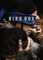 Title: Bird Box (2018)