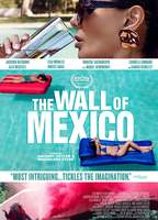 Title: The Wall of Mexico (2019)