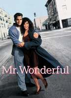 Title: Mr. Wonderful (1993)