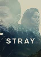 Title: Stray (2018)