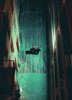 Title: The Ghost Who Walks (2019)