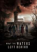 Title: What the Waters Left Behind (2017)
