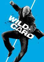 Title: Wild Card (2015)