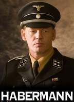 Title: Habermann (2010)