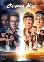 Title: Cobra Kai (2018)