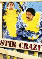 Title: Stir Crazy (1980)